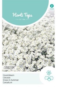 15305 cerastium_500x500